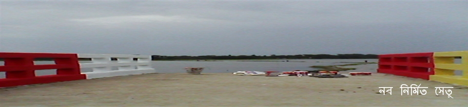 নবনির্মিত সেতু
