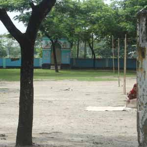 কৃষি ও প্রাণী সম্পদ