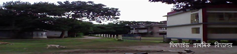 প্রাথমিক বিদ্যালয়