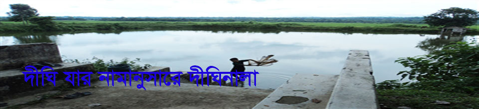 দীঘি