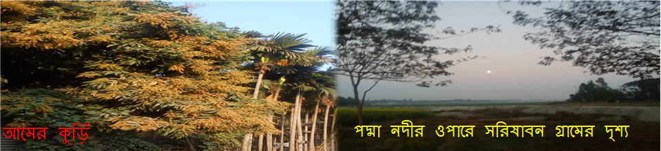 পদ্মার এপার-ওপার
