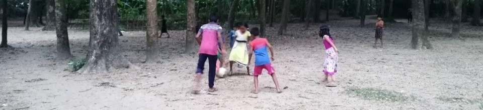 গ্রামীন খেলাধুলা