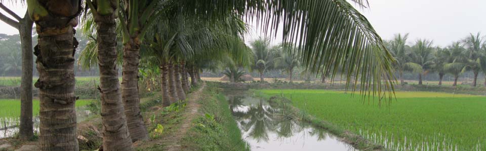 প্রাকৃতিক সূন্দর্য