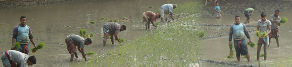 দিঘলিয়া ইউনিয়ন