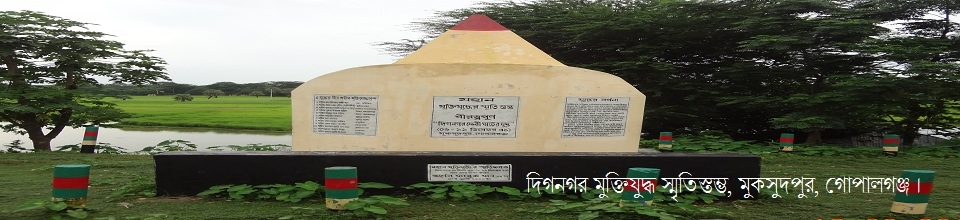 মুক্তিযুদ্ধ সৃতিস্তম্ভ, দিগনগর।