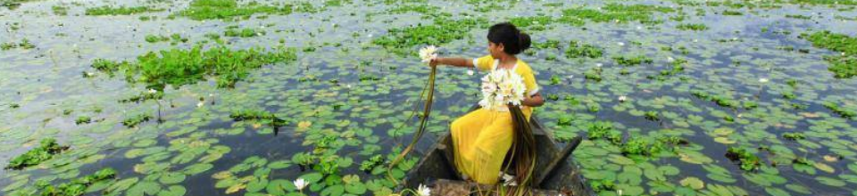 দিগনগর, মুকসুদপুর, গোপালগঞ্জ।