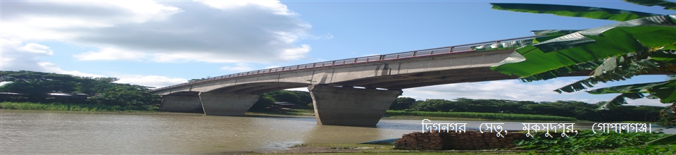 দিগনগর সেতু, মুকসুদপুর, গোপালগঞ্জ।
