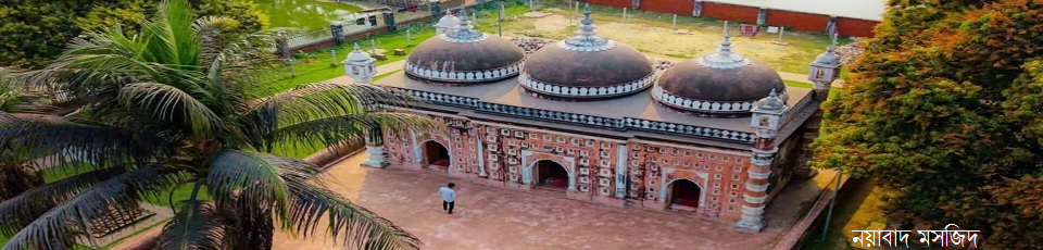 নয়াবাদ মসজিদ