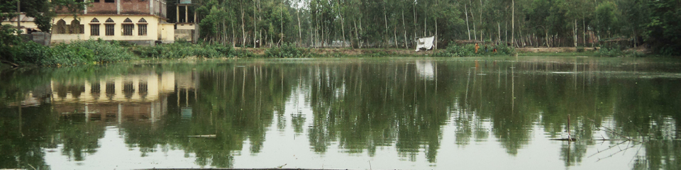 ব্যানার
