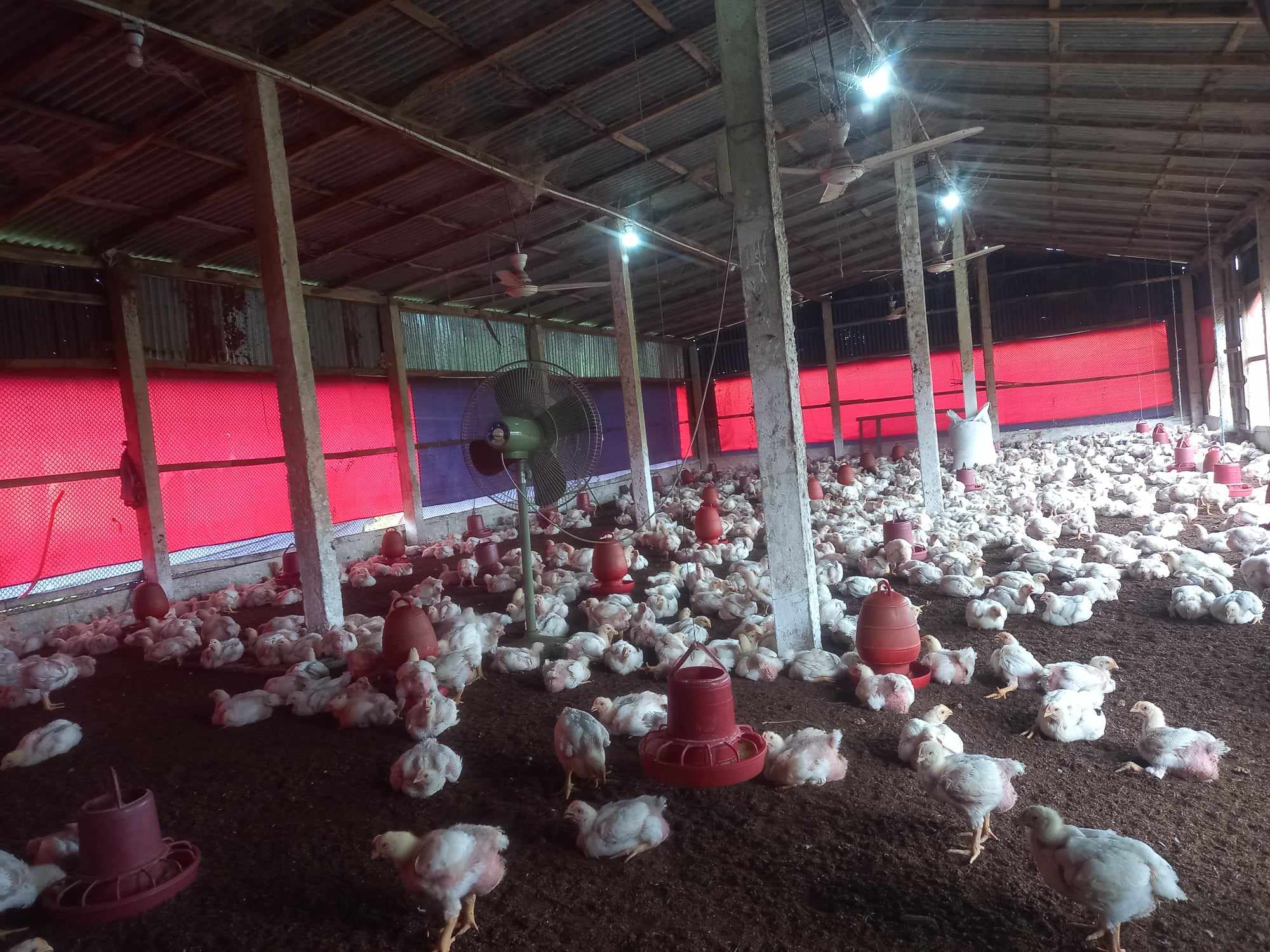 উপজেলা প্রাণিসম্পদ অফিস