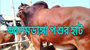 গরু হৃষ্টপুষ্টকরণ