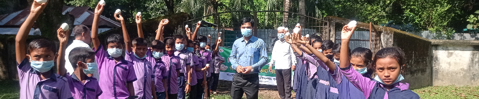 ডিম দিবস