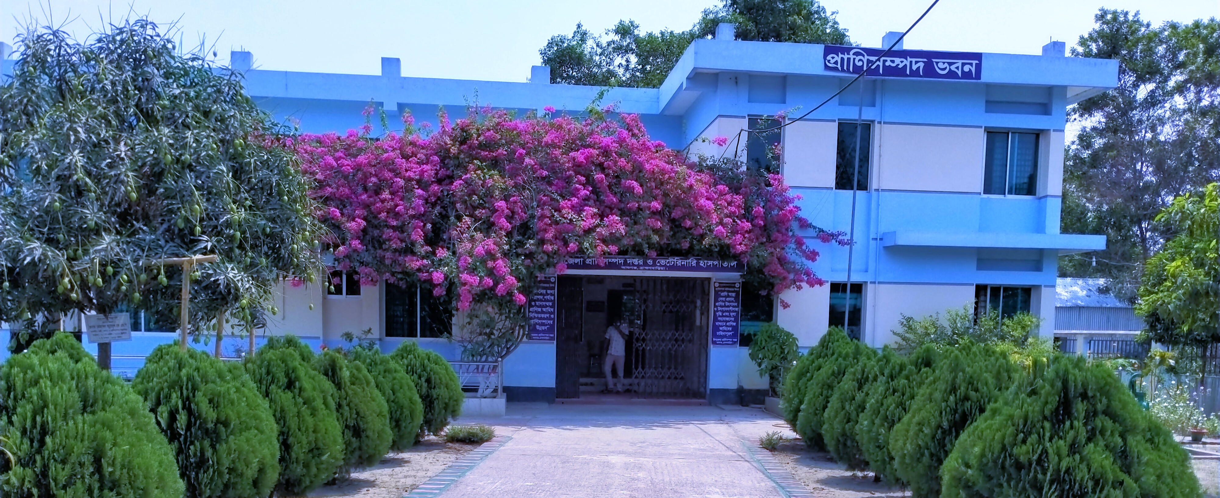 উপজেলা প্রাণিসম্পদ দপ্তর ও ভেটেরিনারি হাসপাতাল