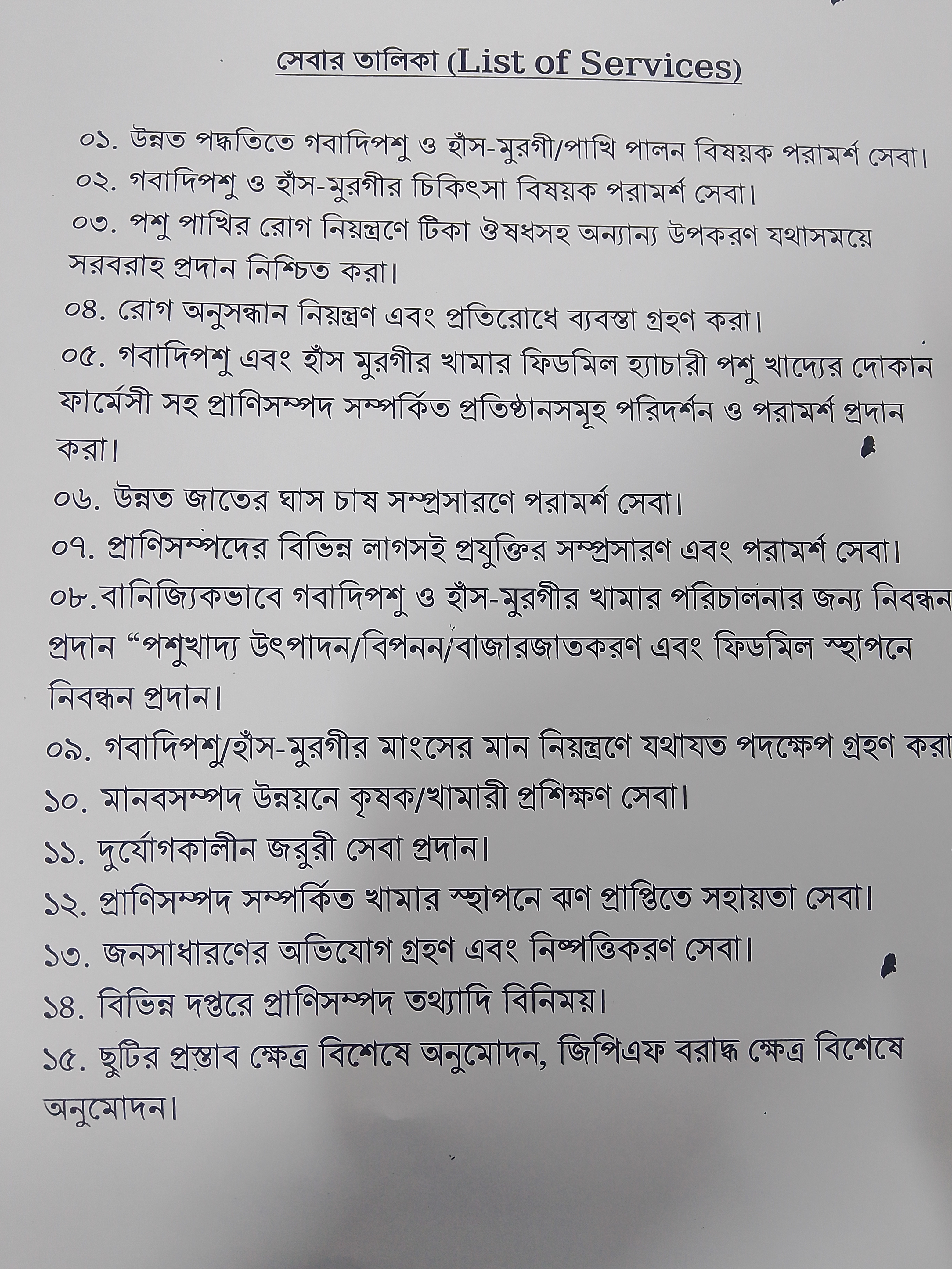 আমাদের সেবা সমূহ