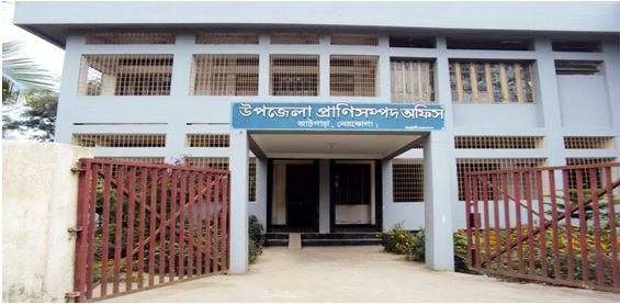 প্রাণি সম্পদ অফিসের ছবি