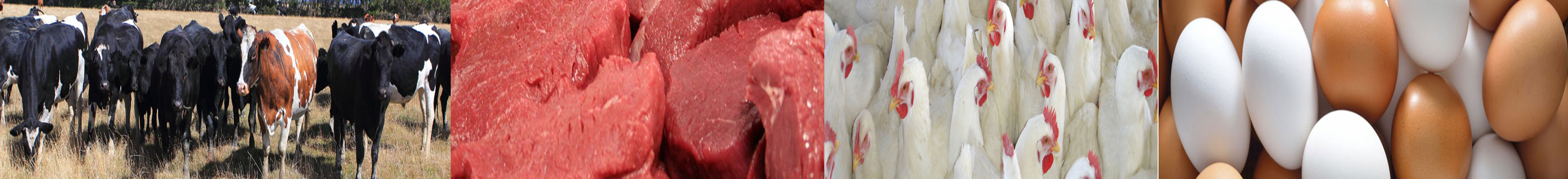 দুধ, ডিম ও মাংশ