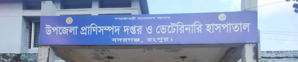 উপজেলা প্রাণিসম্পদ দপ্তর ও ভেটেরিনারি হাসপাতাল বদরগঞ্জ, রংপুর।