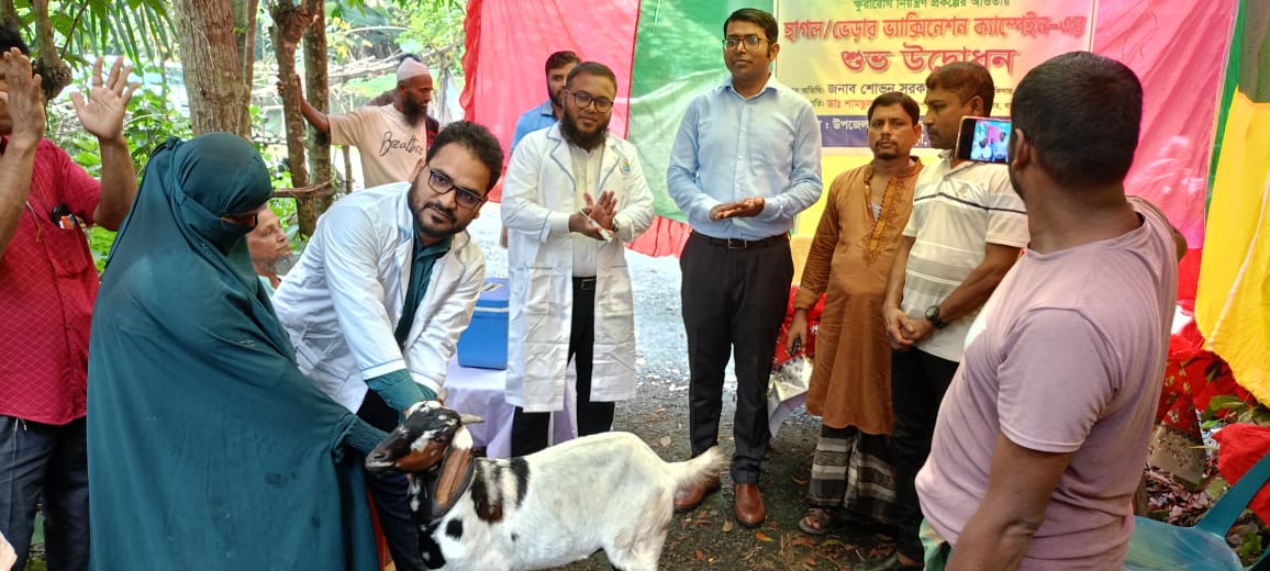 পিপিআর টিকা প্রদান