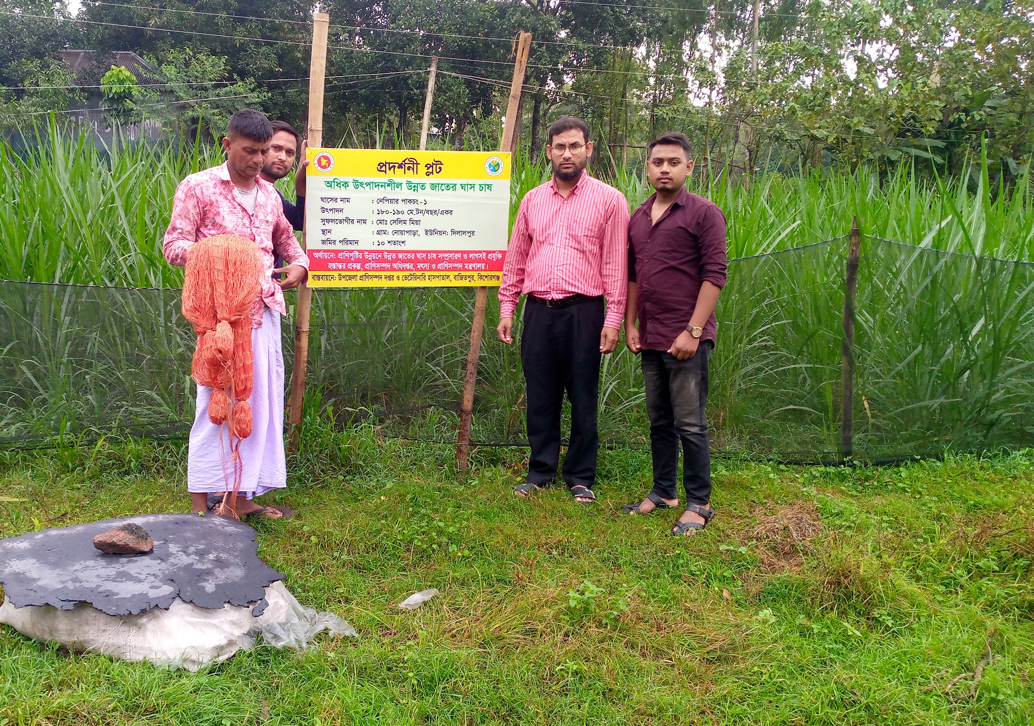 প্রদর্শনী প্লট