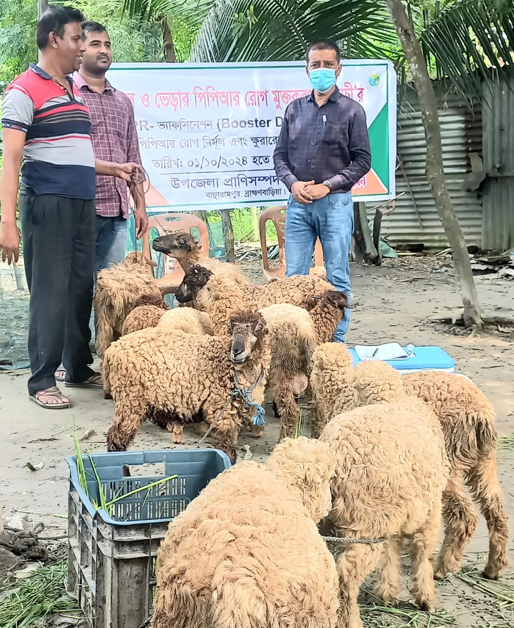 PPR Vaccination program