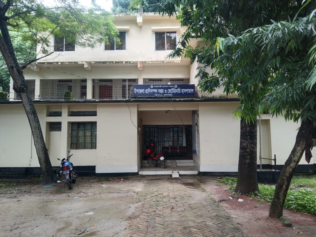 উপজেলা প্রাণিসম্পদ দপ্তর ও ভেটেরিনারি হাসপাতাল, বাঞ্ছারামপুর, ব্রাহ্মণবাড়িয়া