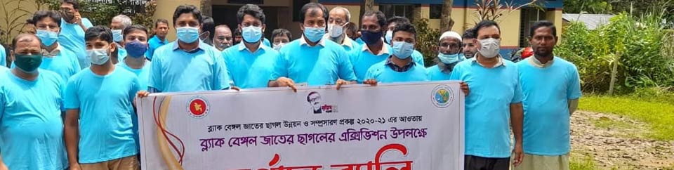 ব্ল্যাক বেঙ্গল ছাগলের প্রদর্শনী