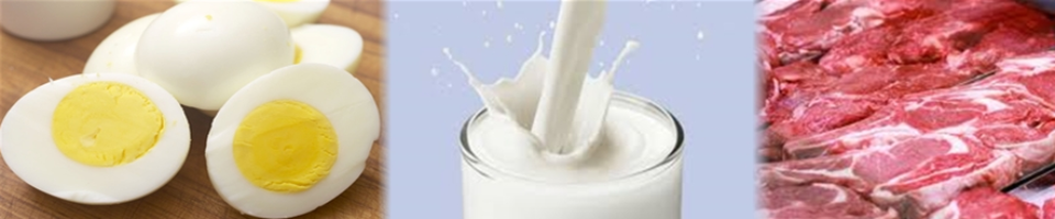 ডিম,দুধ, ও মাংস