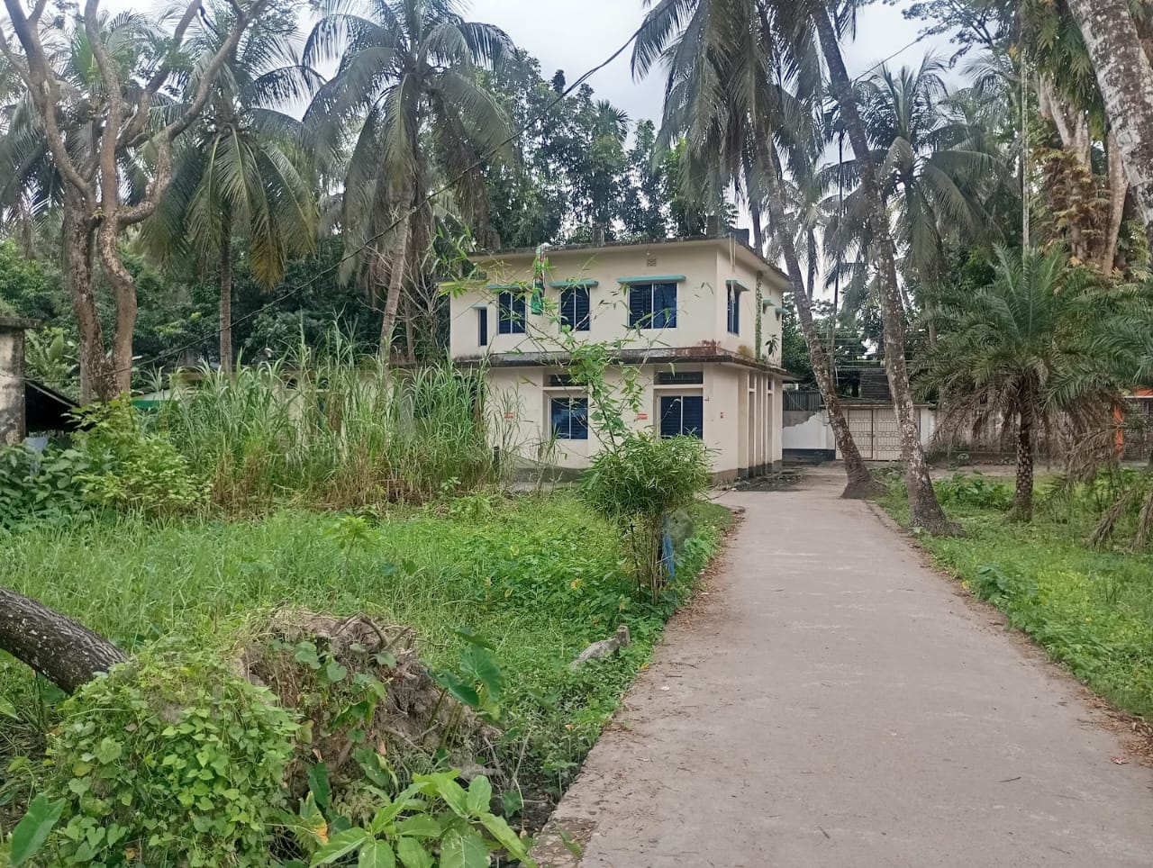 উপজেলা প্রাণিসম্পদ দপ্তর বাউফল পটুয়াখালী