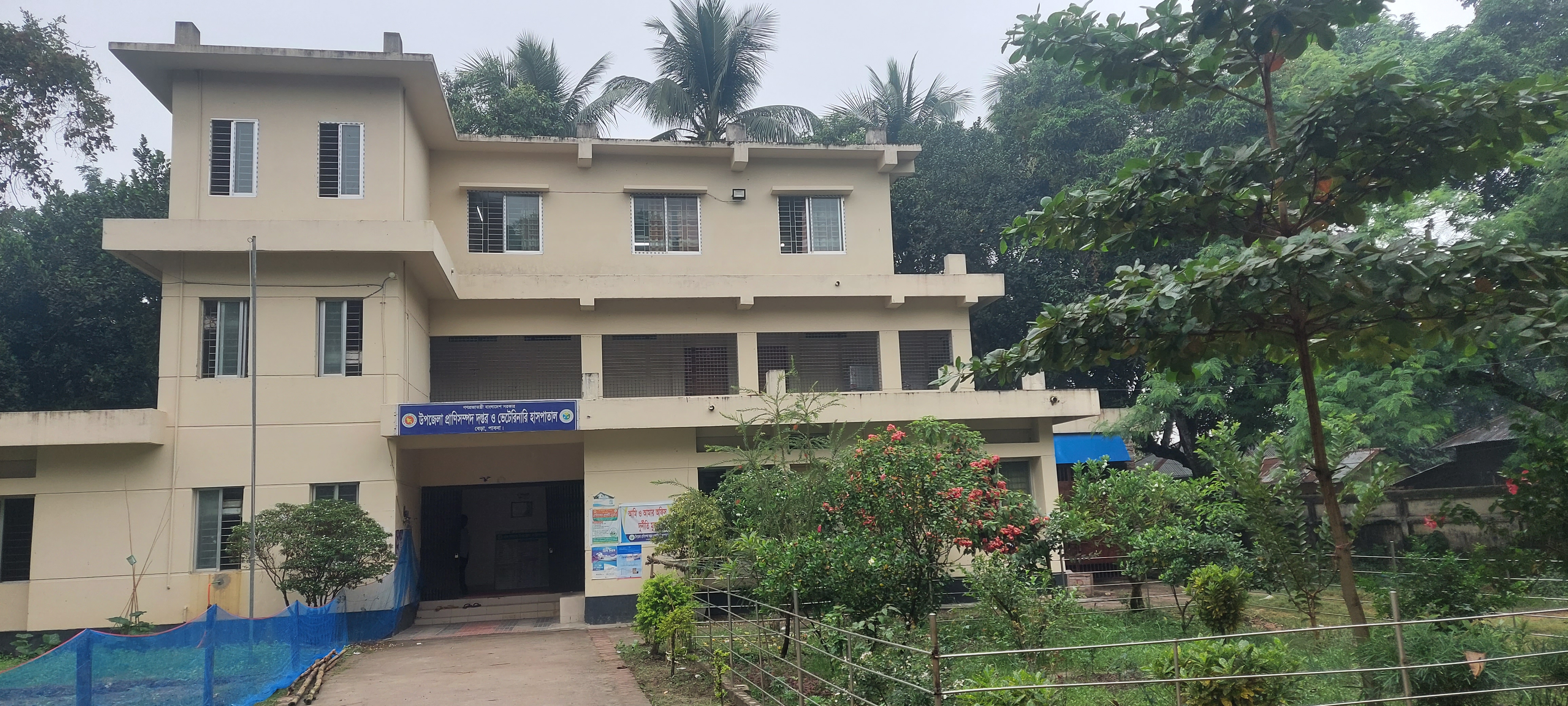 দাপ্তরিক চিত্র