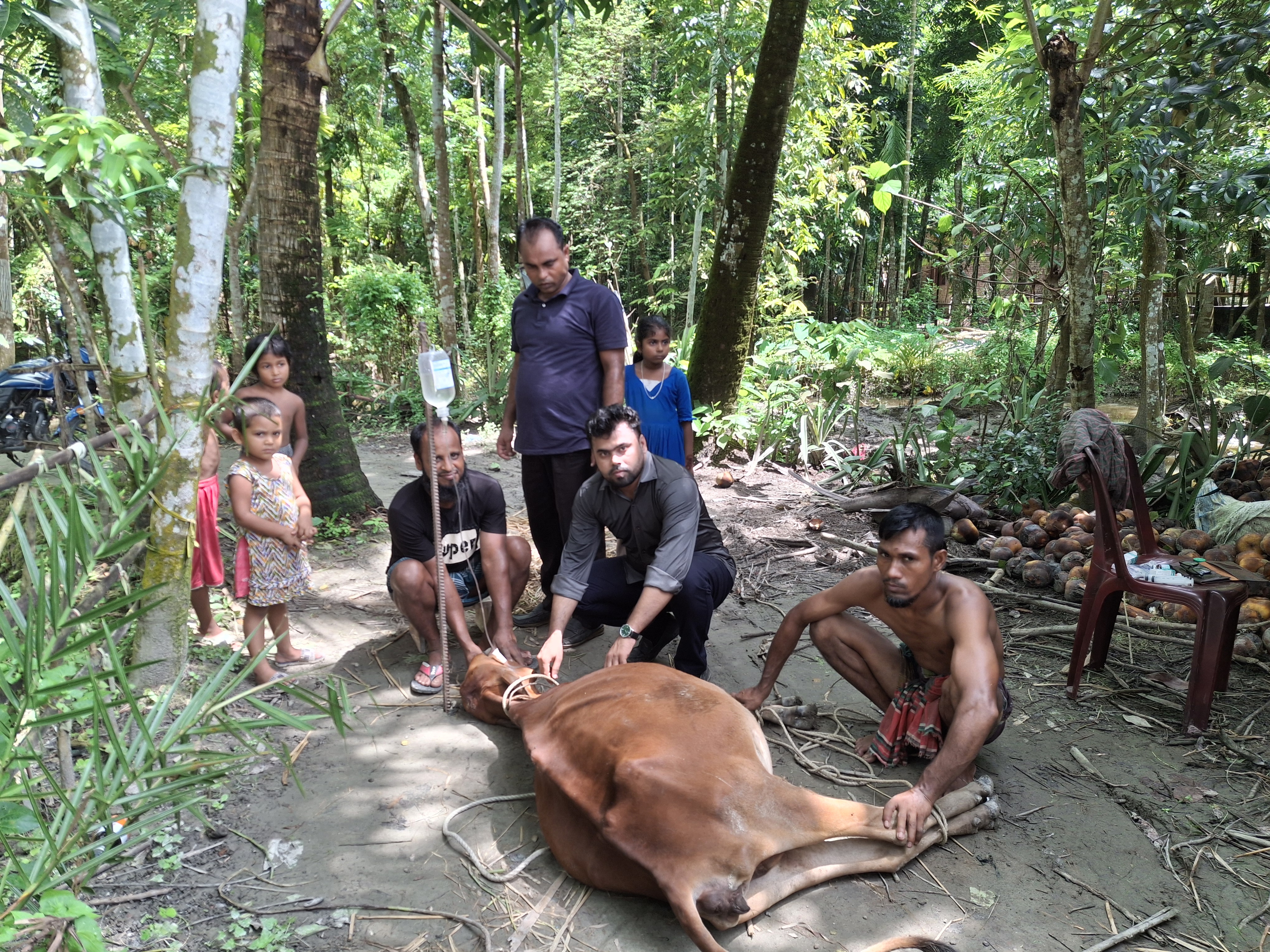 জরুরি প্রাণিসেবা প্রদান