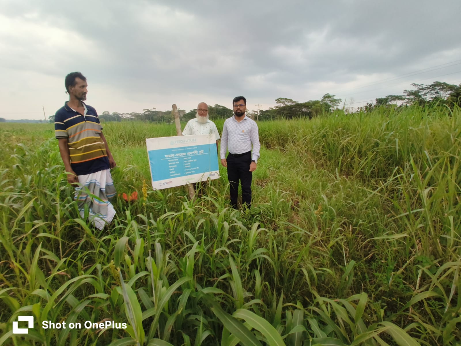 ঘাস চাষের পরামর্শ প্রদান,