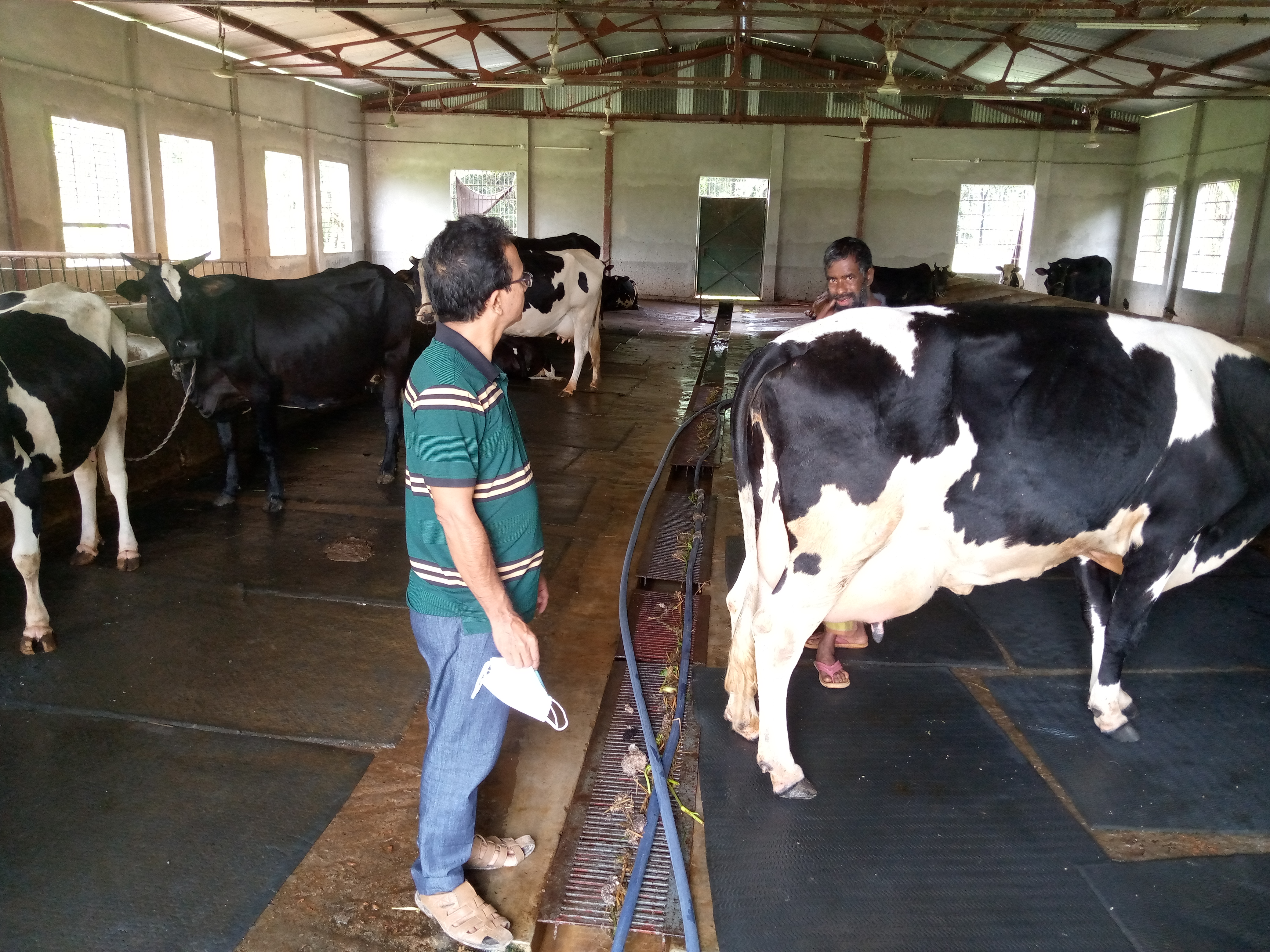 আনন্দ ডেয়রী খামার পরিদর্শন ।