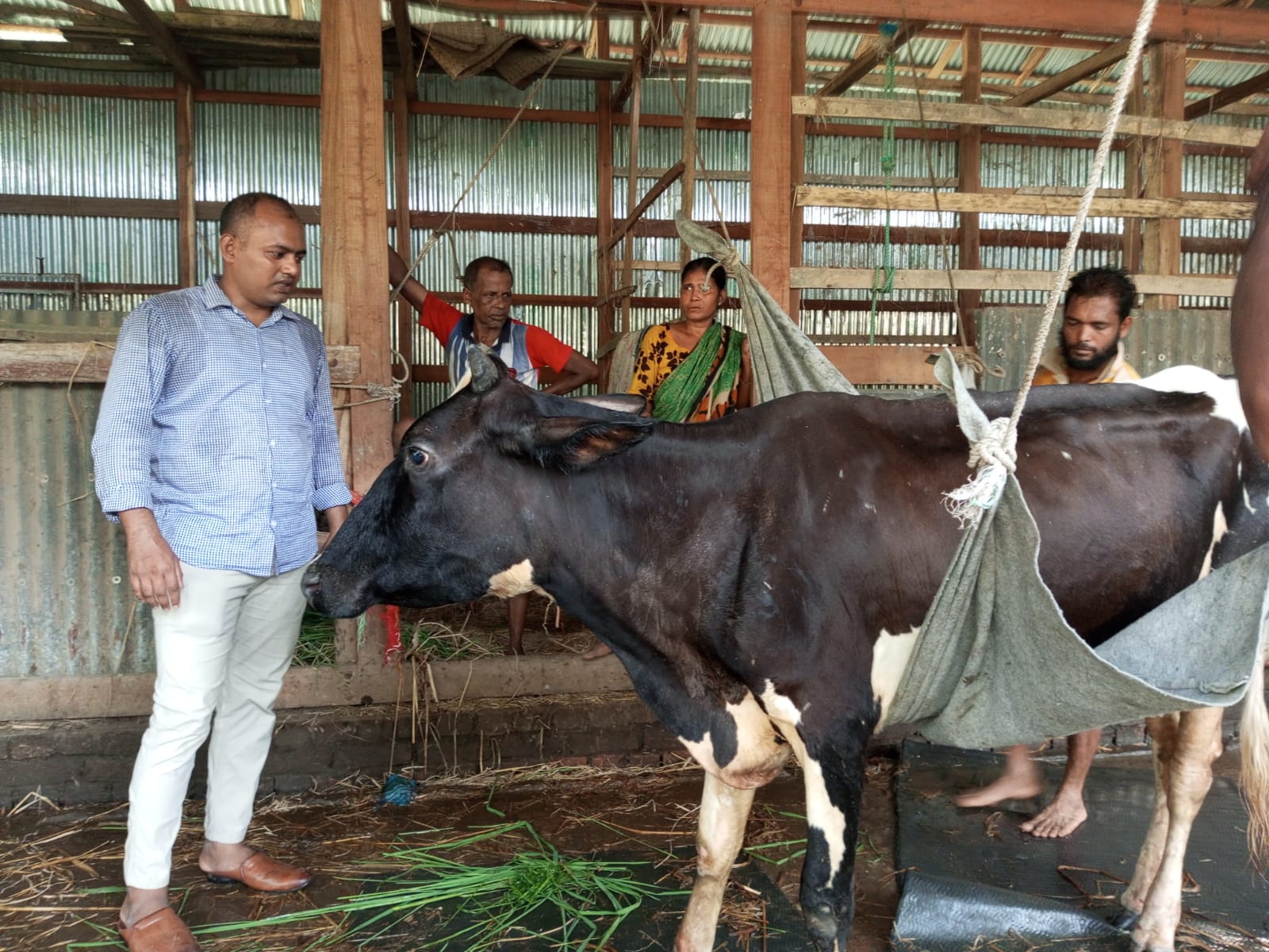 চিকিৎসা