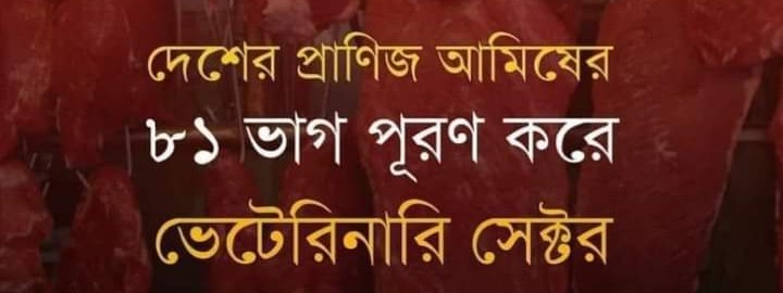 প্রাণিজ আমিষ