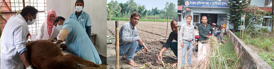 ব্যানার-২