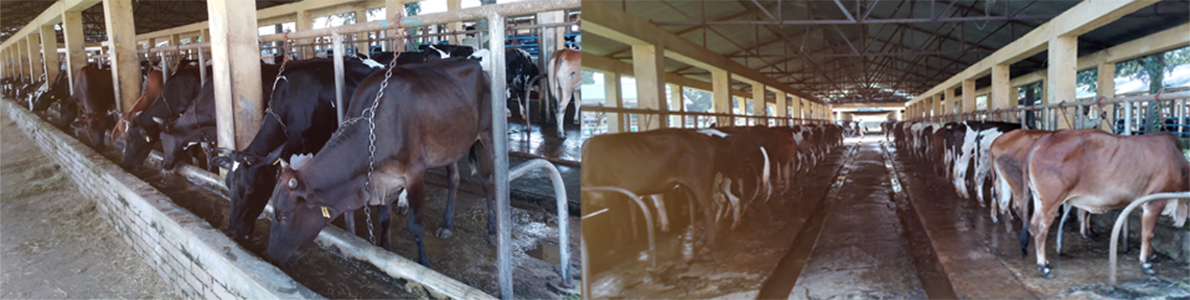 ব্যানার-৩