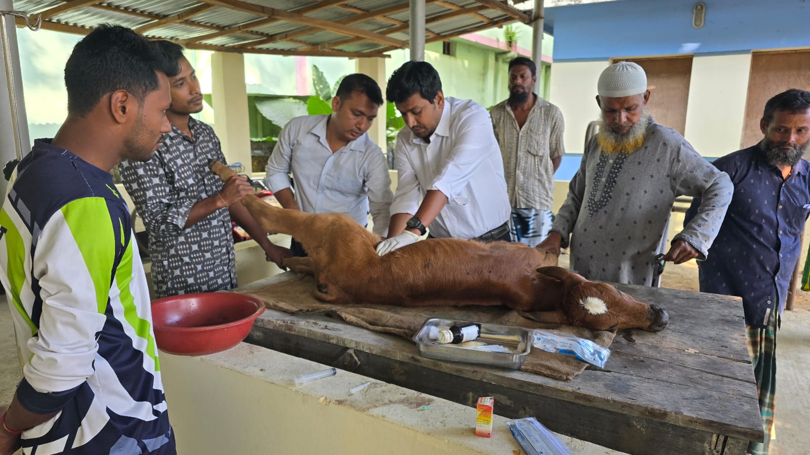 পেটের পানি অপসারন