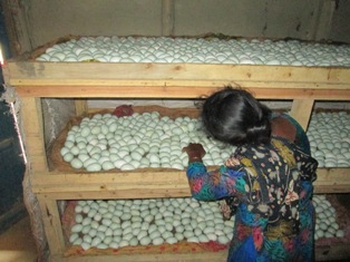 বিভিন্ন কার্যক্রমের ছবি