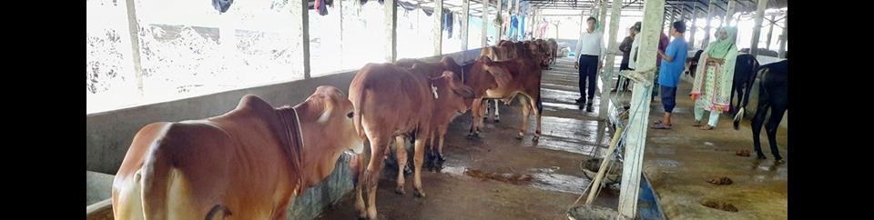 খামারী ভিজিট