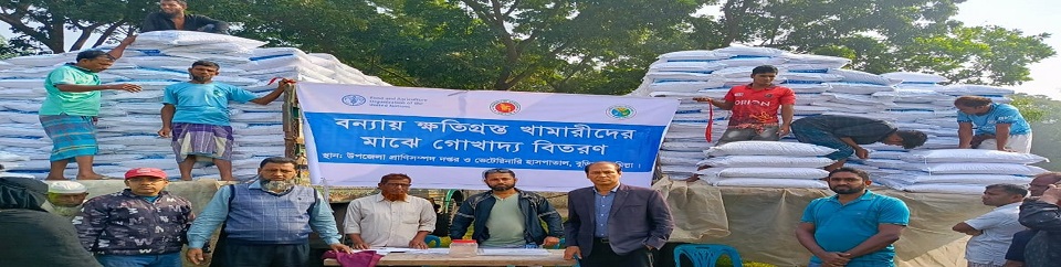 সাম্প্রতিক বন্যায় ক্ষতিগ্রস্থ খামারীদের মাঝে গো-খাদ্য বিতরণ