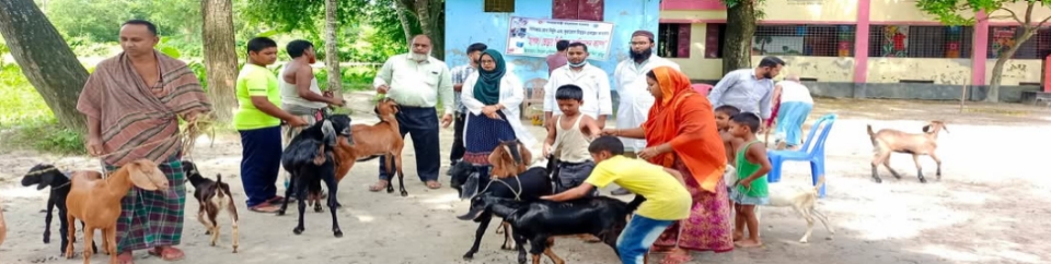 পিপিআর ভ্যাক্সিনেশন কার্যক্রম