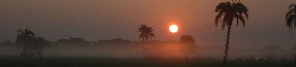প্রাণিসম্পদ