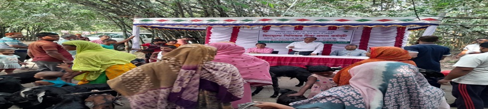 পিপিআর টিকাদান কর্মসূচী