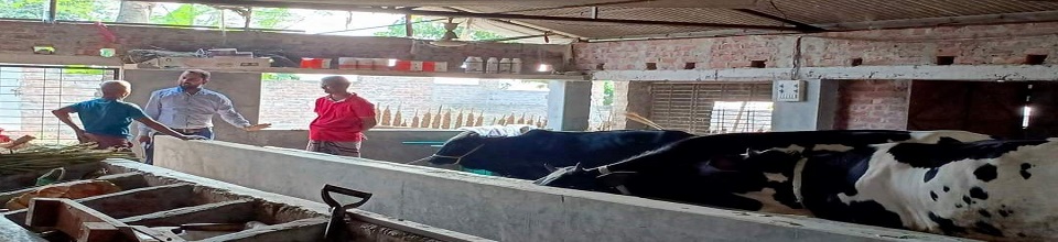 ডেইরি খামার পরিদর্শন