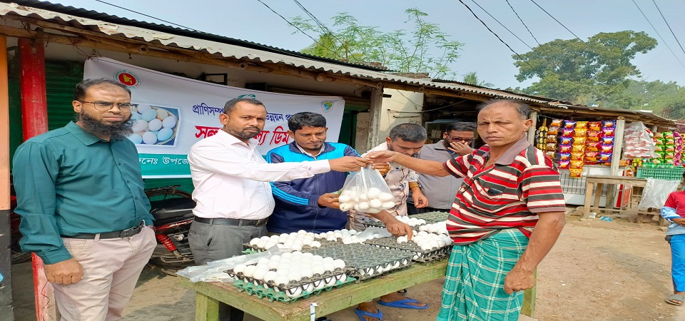 সুলভ মূল্যে ডিম বিতরণ