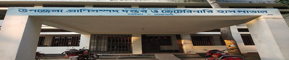 প্রধান ফটক