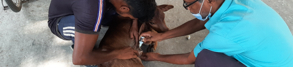 ব্যানার-৪