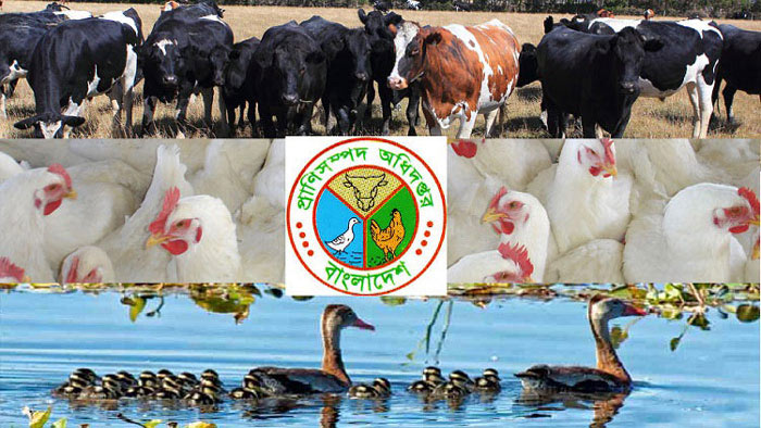 প্রাণিসম্পদ