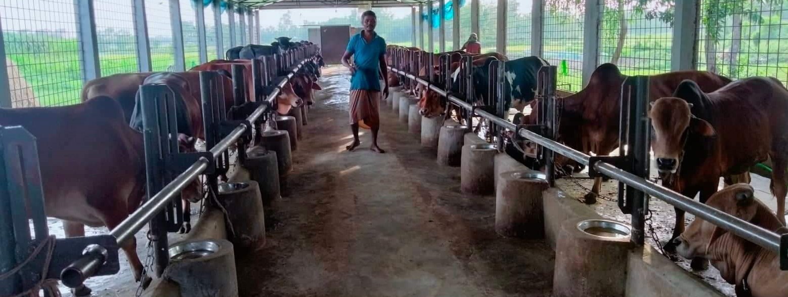 ফার্ম