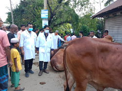 কোরবানীর হাটে মেডিক্যাল টিম